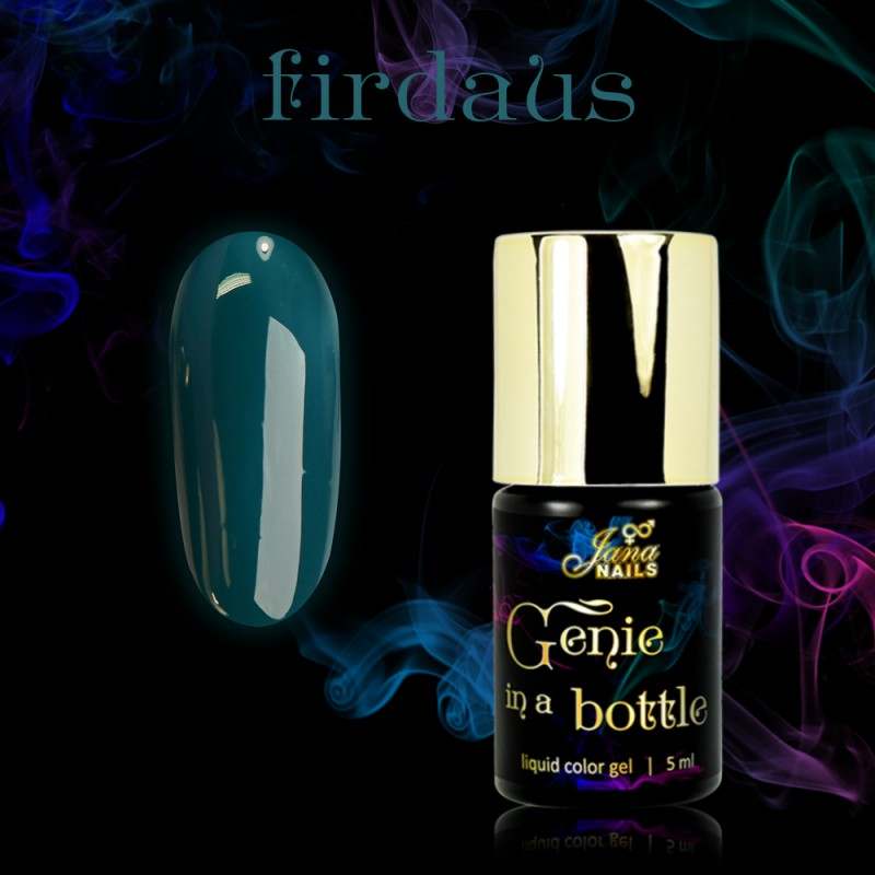 Genie In A Bottle - Firdaus